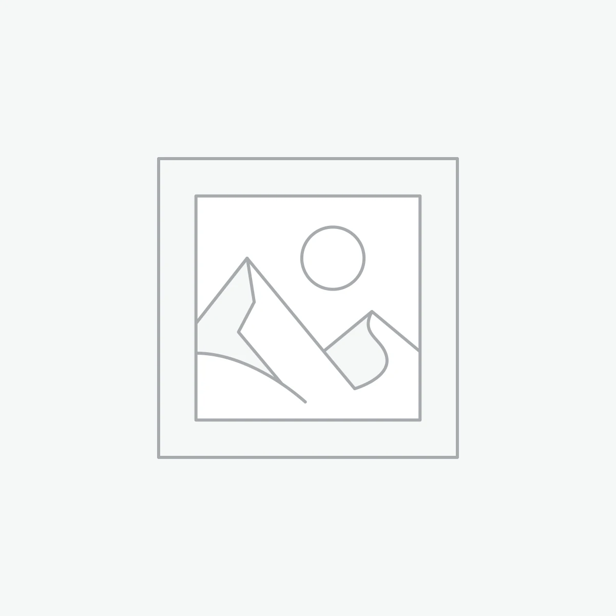 File Meta Organizer - Premium License